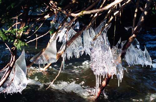 BROOK ICE